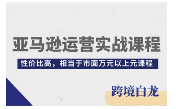 亚马逊运营实战课程，亚马逊从入门到精通，性价比高，相当于市面万元以上元课程-朽念云创