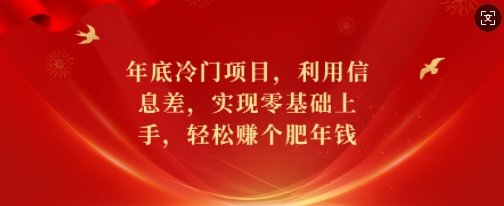 年底冷门项目，利用信息差，实现零基础上手，轻松赚个肥年钱【揭秘】-朽念云创