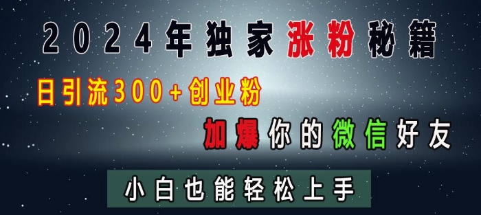 2024年独家涨粉秘籍，日引流300+创业粉，加爆你的微信好友，小白也能轻松上手-朽念云创