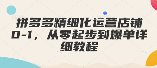 拼多多精细化运营店铺0-1，从零起步到爆单详细教程-朽念云创