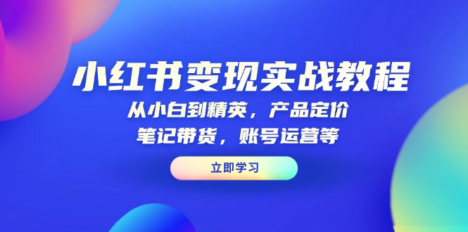 小红书变现实战教程：从小白到精英，产品定价，笔记带货，账号运营等-朽念云创