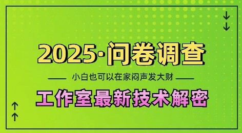 2025问卷调查最新工作室技术解密：一个人在家也可以闷声发大财，小白一天2张，可矩阵放大【揭秘】-朽念云创