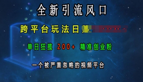 全新引流风口，跨平台玩法日入上k，单日狂揽200+精准创业粉，一个被严重忽略的视频平台-朽念云创