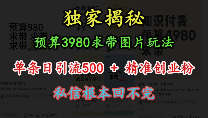 预算3980求带 图片玩法，单条日引流500+精准创业粉，私信根本回不完-朽念云创