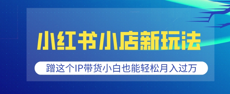 小红书小店新玩法，蹭这个IP带货，小白也能轻松月入过W【揭秘】-朽念云创