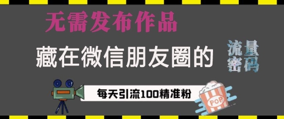 藏在微信朋友圈的流量密码，无需发布作品，单日引流100+精准创业粉【揭秘】-朽念云创