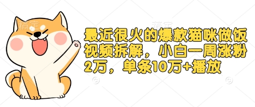 最近很火的爆款猫咪做饭视频拆解，小白一周涨粉2万，单条10万+播放(附保姆级教程)-朽念云创