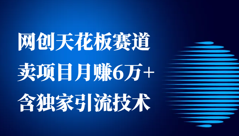 网创天花板赛道，卖项目月赚6万+，含独家引流技术(共26节课)-朽念云创