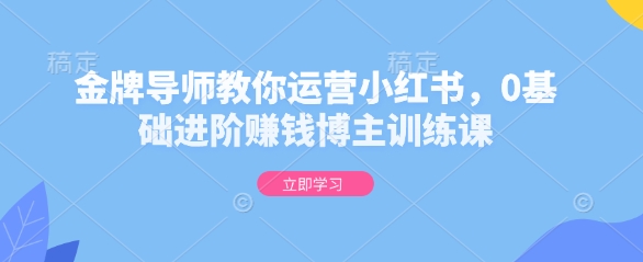 金牌导师教你运营小红书，0基础进阶赚钱博主训练课-朽念云创