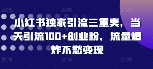 小红书独家引流三重奏，当天引流100+创业粉，流量爆炸不愁变现【揭秘】-朽念云创