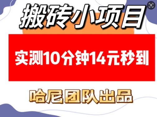 搬砖小项目，实测10分钟14元秒到，每天稳定几张(赠送必看稳定)-朽念云创