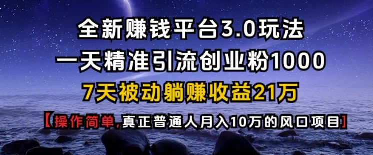 全新赚钱平台3.0玩法一天精准引流创业粉1000.7天被动躺Z收益21W【仅揭秘】-朽念云创