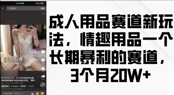 成人用品赛道新玩法，情趣用品一个长期暴利的赛道，3个月收益20个【揭秘】-朽念云创