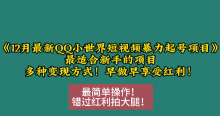 12月最新QQ小世界短视频暴力起号项目，最适合新手的项目，多种变现方式-朽念云创