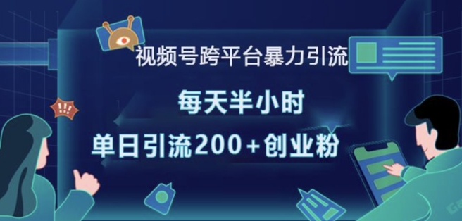 视频号跨平台暴力引流，每天半小时，单日引流200+精准创业粉-朽念云创