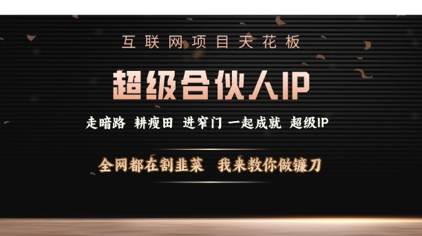 互联网项目天花板，超级合伙人IP，全网都在割韭菜，我来教你做镰刀【仅揭秘】-朽念云创